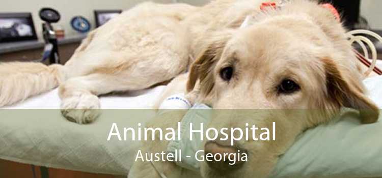 Animal Hospital Austell - Georgia