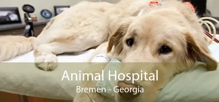 Animal Hospital Bremen - Georgia