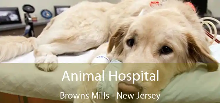 Animal Hospital Browns Mills - New Jersey