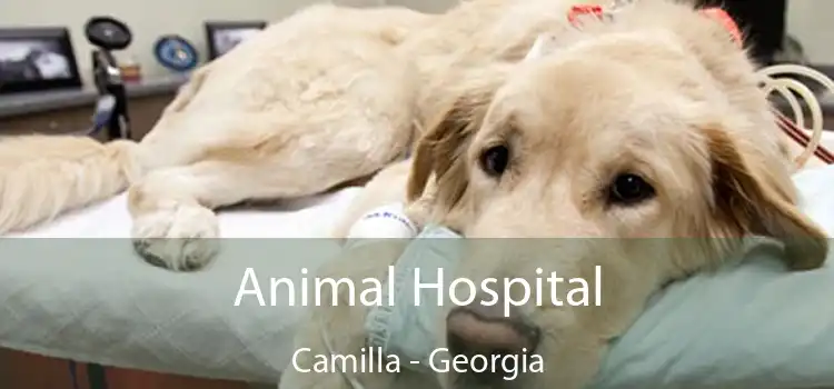 Animal Hospital Camilla - Georgia