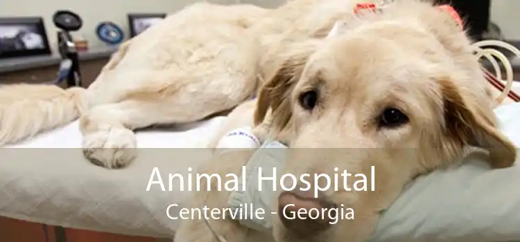 Animal Hospital Centerville - Georgia
