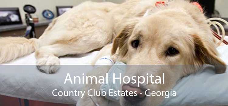 Animal Hospital Country Club Estates - Georgia