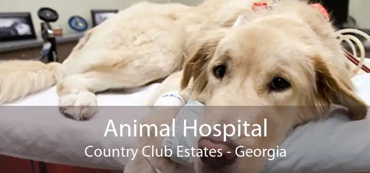 Animal Hospital Country Club Estates - Georgia