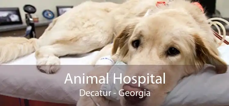Animal Hospital Decatur - Georgia