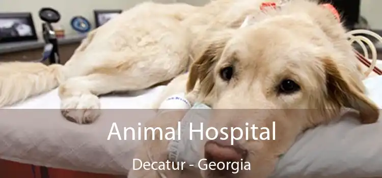 Animal Hospital Decatur - Georgia