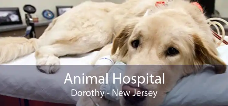 Animal Hospital Dorothy - New Jersey
