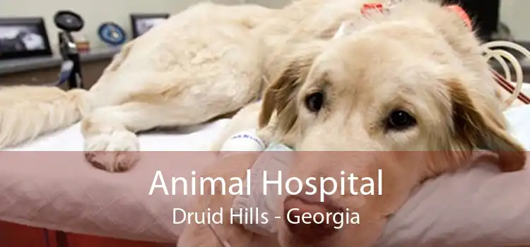Animal Hospital Druid Hills - Georgia