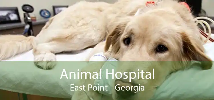 Animal Hospital East Point - Georgia