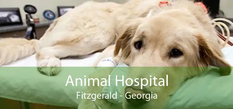 Animal Hospital Fitzgerald - Georgia