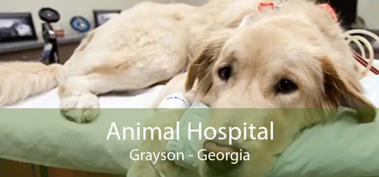 Animal Hospital Grayson - Georgia
