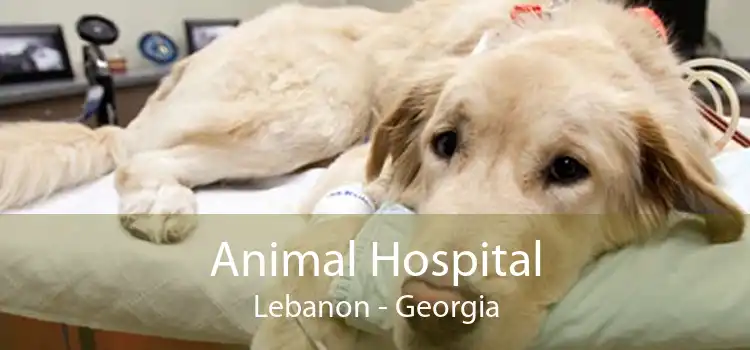 Animal Hospital Lebanon - Georgia