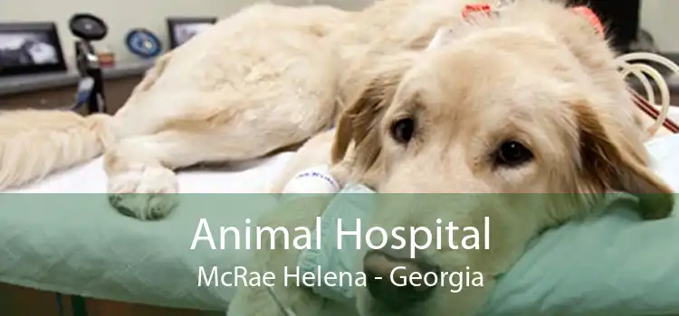 Animal Hospital McRae Helena - Georgia