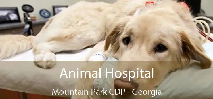 Animal Hospital Mountain Park CDP - Georgia