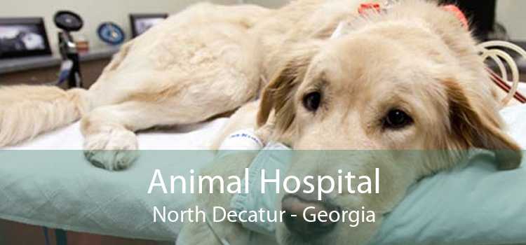 Animal Hospital North Decatur - Georgia