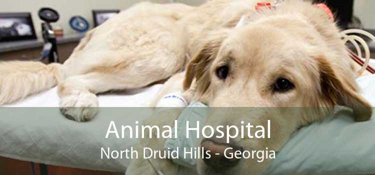 Animal Hospital North Druid Hills - Georgia