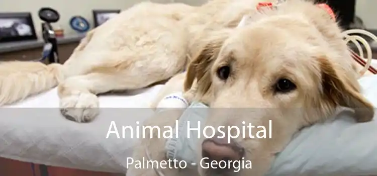 Animal Hospital Palmetto - Georgia