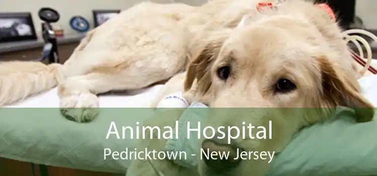 Animal Hospital Pedricktown - New Jersey