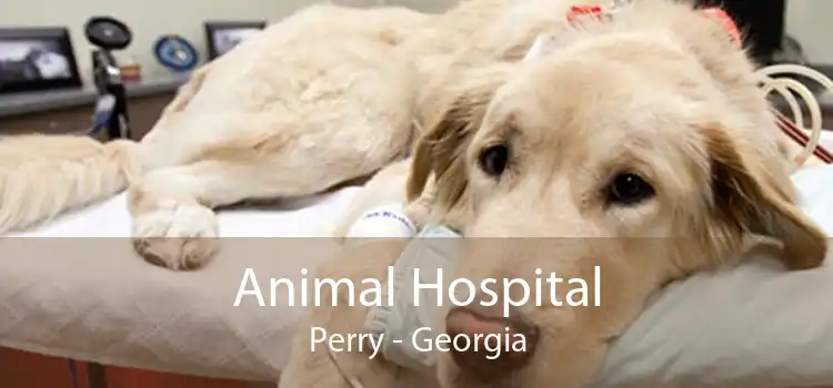 Animal Hospital Perry - Georgia
