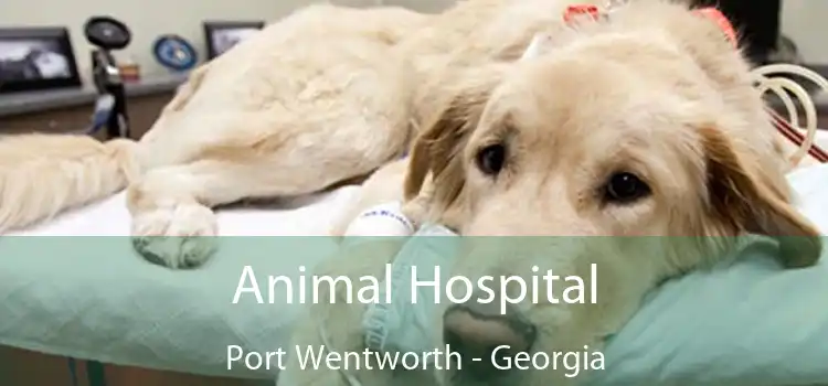 Animal Hospital Port Wentworth - Georgia