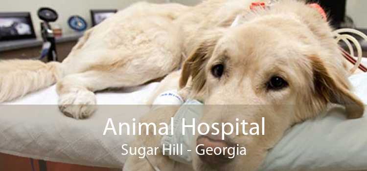 Animal Hospital Sugar Hill - Georgia