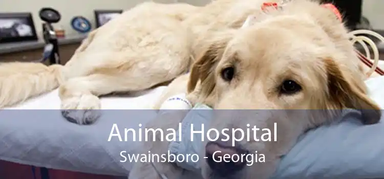 Animal Hospital Swainsboro - Small, Affordable, And Emergency Animal  Hospital