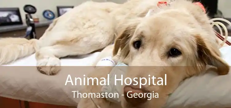 Animal Hospital Thomaston - Georgia