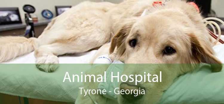 Animal Hospital Tyrone - Georgia