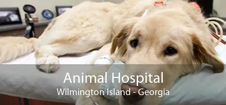 Animal Hospital Wilmington Island - Georgia