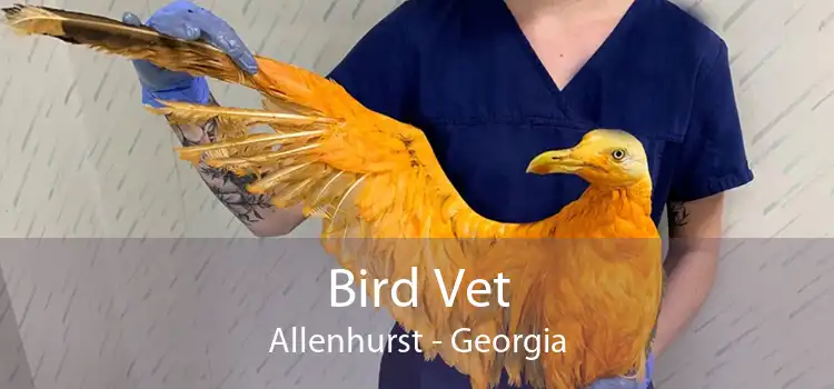Bird Vet Allenhurst - Georgia