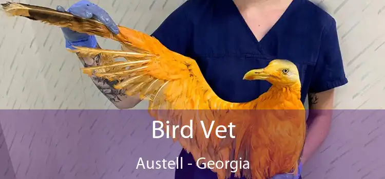 Bird Vet Austell - Georgia