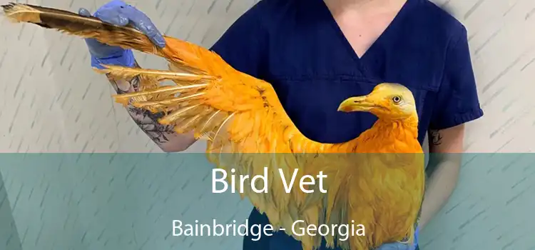 Bird Vet Bainbridge - Georgia