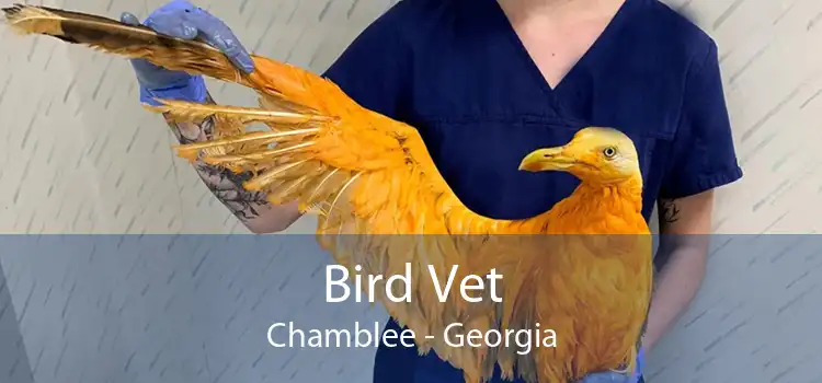 Bird Vet Chamblee - Georgia