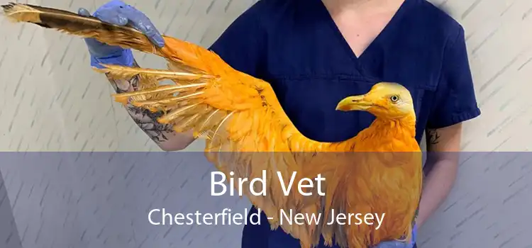 Bird Vet Chesterfield - New Jersey
