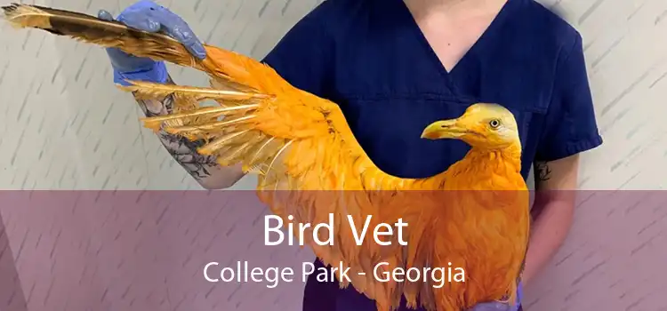 Bird Vet College Park - Georgia