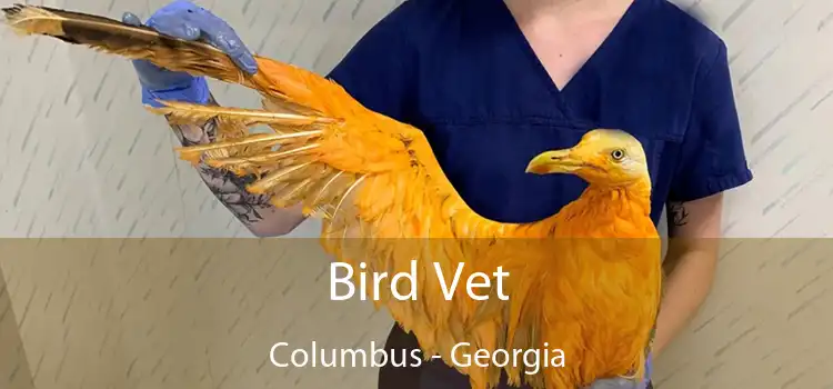 Bird Vet Columbus - Georgia