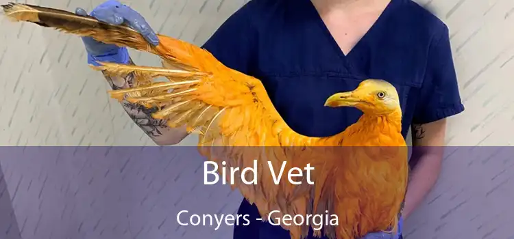 Bird Vet Conyers - Georgia