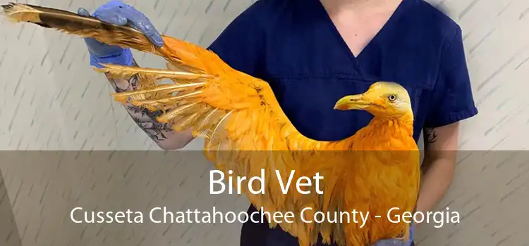Bird Vet Cusseta Chattahoochee County - Georgia