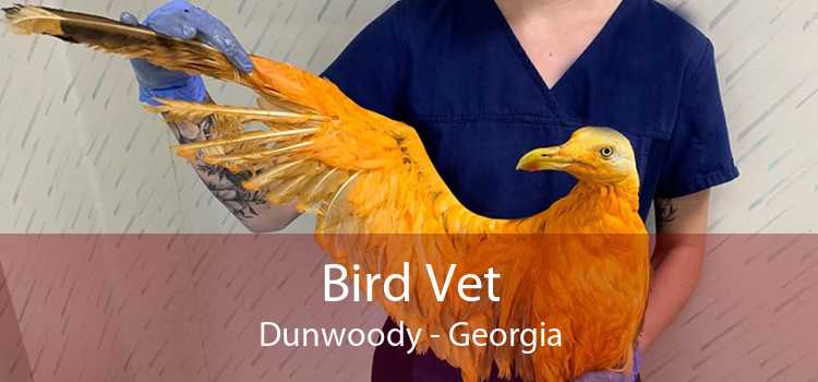 Bird Vet Dunwoody - Georgia