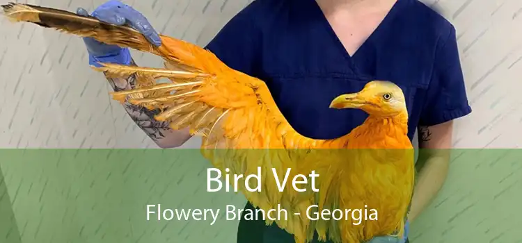 Bird Vet Flowery Branch - Georgia