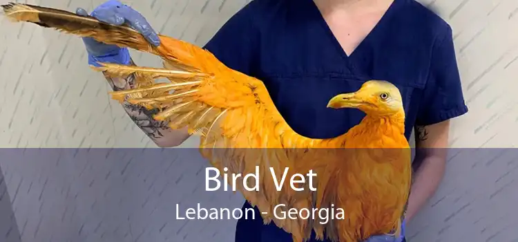 Bird Vet Lebanon - Georgia