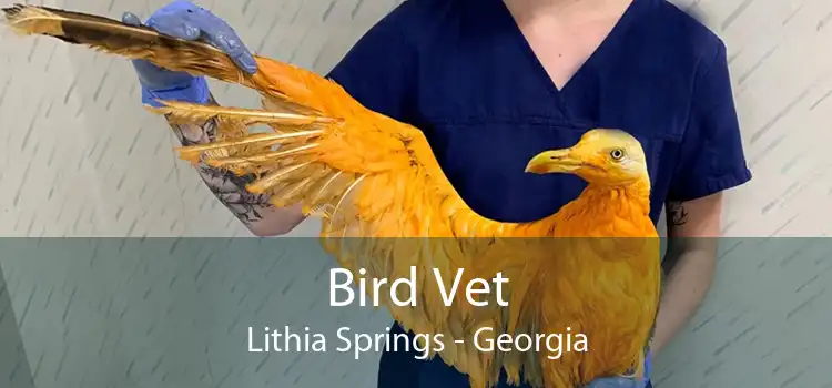 Bird Vet Lithia Springs - Georgia