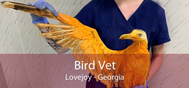 Bird Vet Lovejoy - Georgia