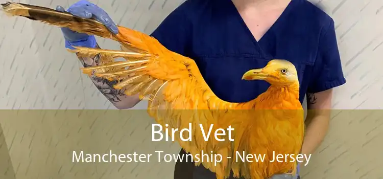 Bird Vet Manchester Township - New Jersey