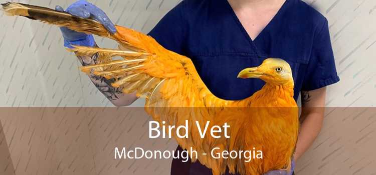 Bird Vet McDonough - Georgia