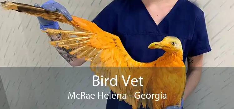 Bird Vet McRae Helena - Georgia