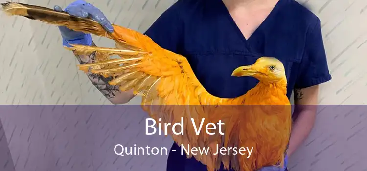 Bird Vet Quinton - New Jersey