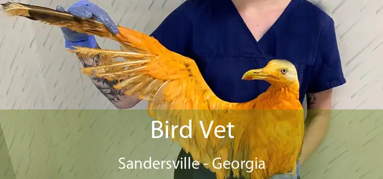 Bird Vet Sandersville - Georgia
