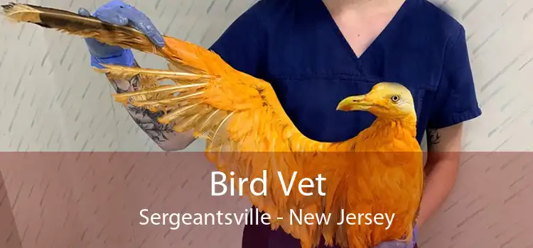 Bird Vet Sergeantsville - New Jersey