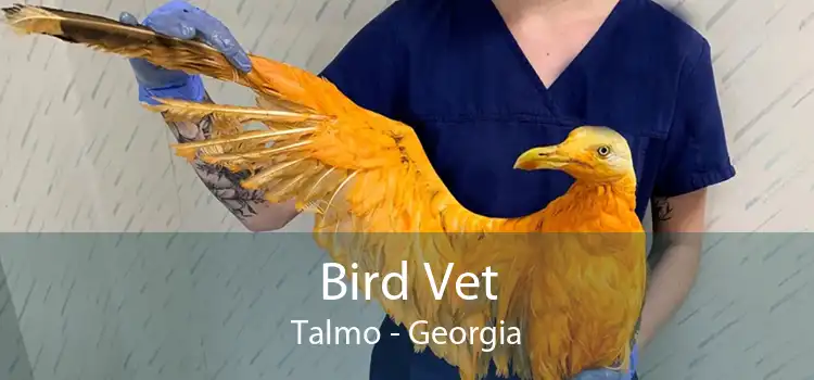 Bird Vet Talmo - Georgia