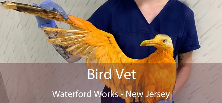 Bird Vet Waterford Works - New Jersey